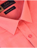 Shirt-Half-Sleeves
