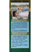 Salem Silk Sarees