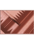 Arani Silk Sarees