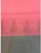 RASIPURAM COTTON SAREE