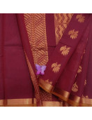 PL BIG BUTTA SAREE