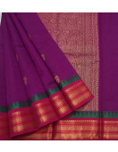 PL BIG BUTTA SAREE