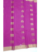 PL BIG BUTTA SAREE