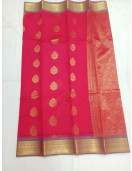 PL BIG BUTTA SAREE