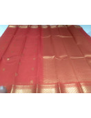 PL BIG BUTTA SAREE