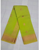 PL BIG BUTTA SAREE