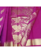 PL BIG BUTTA SAREE