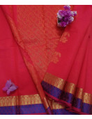 PL BIG BUTTA SAREE