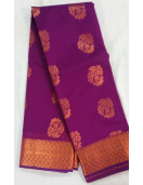 PL BIG BUTTA SAREE