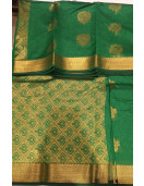 PL BIG BUTTA SAREE