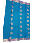 PL BIG BUTTA SAREE