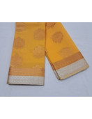 PL BIG BUTTA SAREE