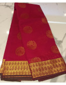PL BIG BUTTA SAREE