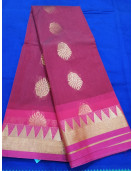 PL BIG BUTTA SAREE