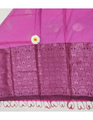 PL Softee Saree