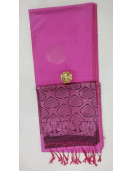 PL Softee Saree