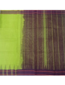 RASIPURAM COTTON SAREE