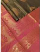 PL Softee Saree