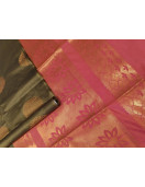PL Softee Saree