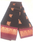 PL BIG BUTTA SAREE