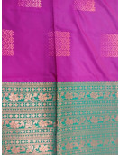 PL Softee Saree