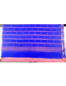 PL Salem Silk Finish Border Saree