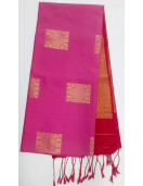 PL Softee Saree