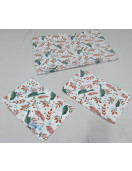 BEDSHEET ERODE AHEMADHABAD PRINT 60X90 2 PILLOW COVER
