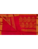 PL BIG BUTTA SAREE