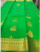 PL BIG BUTTA SAREE