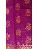 PL BIG BUTTA SAREE