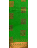 PL BIG BUTTA SAREE