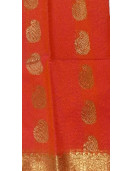 PL BIG BUTTA SAREE