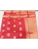 PL BIG BUTTA SAREE