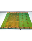 PL BIG BUTTA SAREE