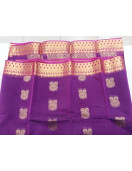 PL BIG BUTTA SAREE