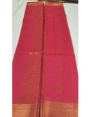 PL BIG BUTTA SAREE