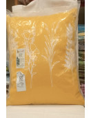 Export Cusion Cover Compressed
