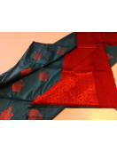 PL Softee Saree
