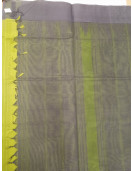 RASIPURAM COTTON SAREE