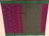 PL Saree Negamam Jacquard Border