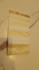 ANGAVAS SALEM WOVEN SILK PURE SILK