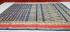 80SX80S PMK 1000 BUTTA COTTON SAREES