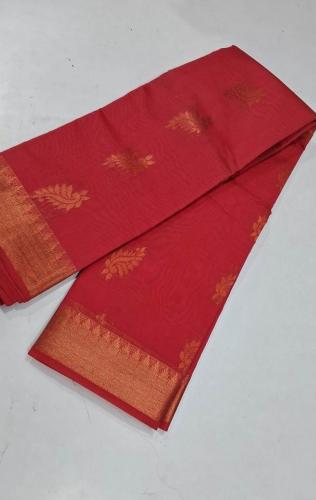 PL BIG BUTTA SAREE