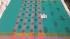 PL Salem Sarees Hand Block Printed Saree