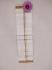 DHOTHIES SALEM WOVEN SILK