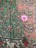 KALAMKARI PRINTED COTTON SAREE