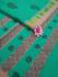 PL Salem Sarees Hand Block Printed Saree