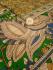 KALAMKARI PRINTED COTTON SAREE