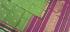 SAREES KPM SILK WITH BLOUSE